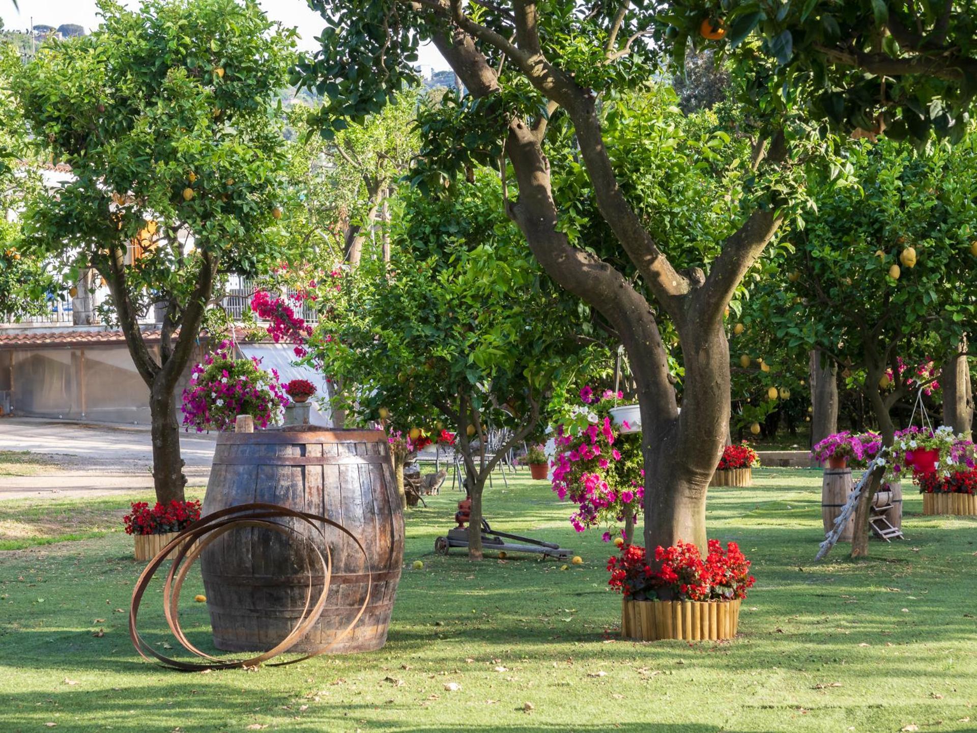 Giardino Di Nonno Lucio - Surrounded By Lemon Tree Villa Piano di Sorrento Exterior photo